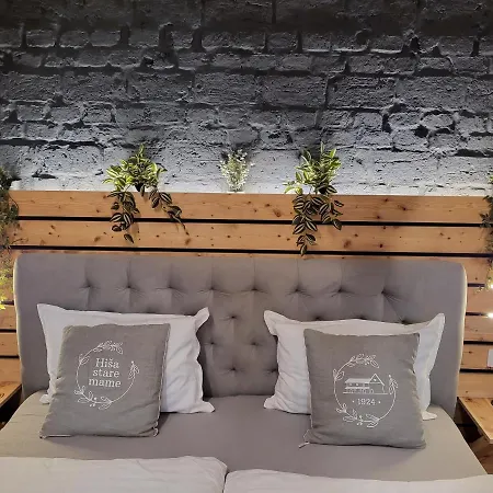 Hisa Stare Mame Bed & Breakfast Kamnik Exterior photo