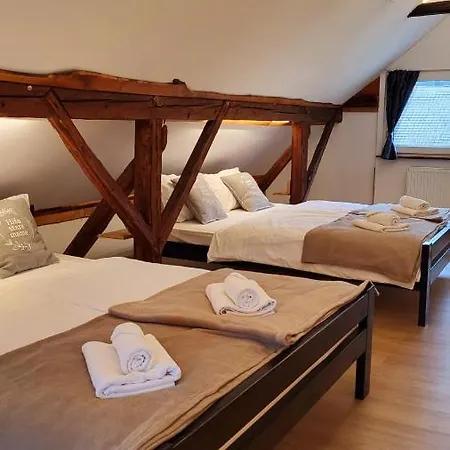 Hisa Stare Mame Bed & Breakfast Kamnik Exterior photo