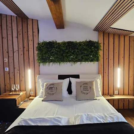 Hisa Stare Mame Bed & Breakfast Kamnik Exterior photo
